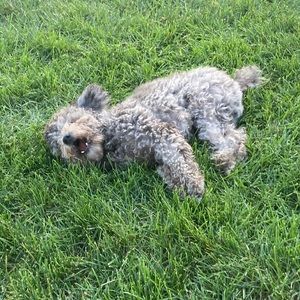 Meet your Posher, Eric